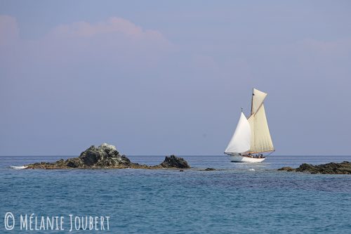 IMG 4980-copie