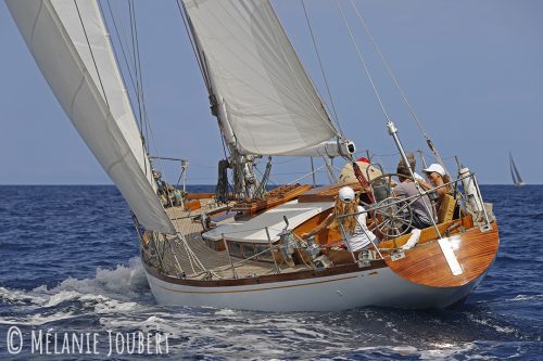 MG 2645-copie