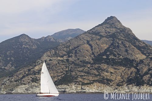 MG 5210-copie