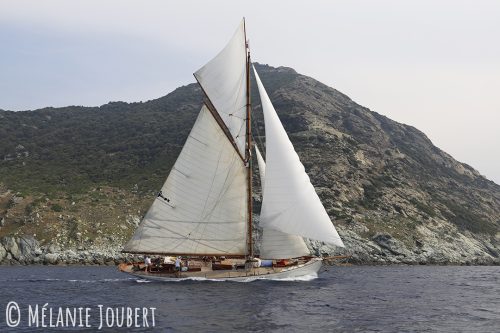 MG 5282-copie
