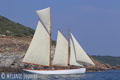 Corsica Classic