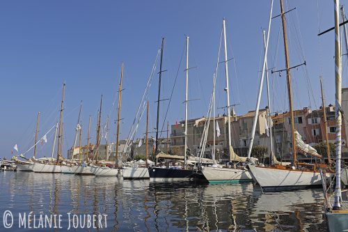 st-florent MG 6062-copie