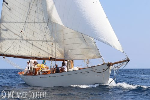 vistona-IMG 2652-copie