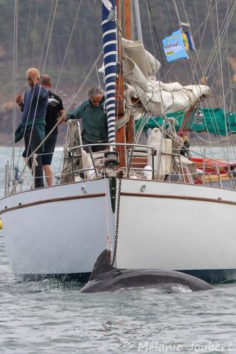 Douarnenez 2018