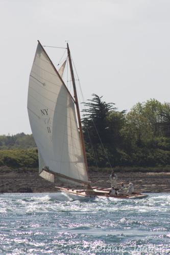 Semaine du golfe 2013