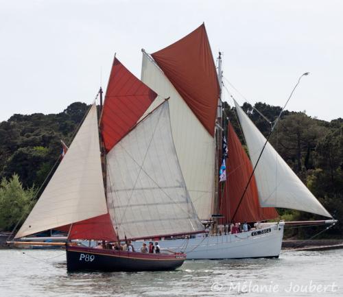 Semaine du golfe 2013