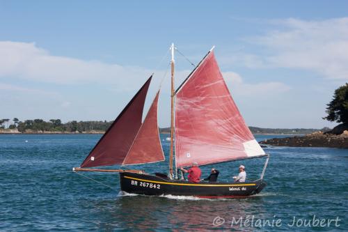 Semaine du golfe 2013