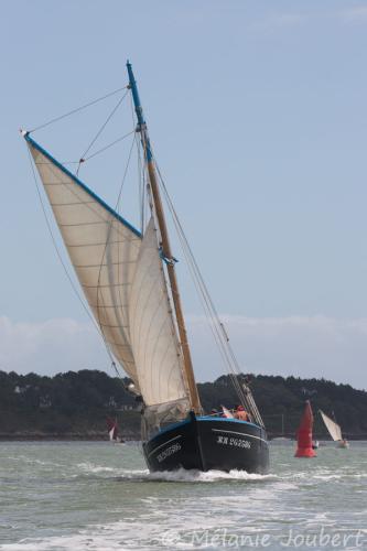 Semaine du golfe 2013