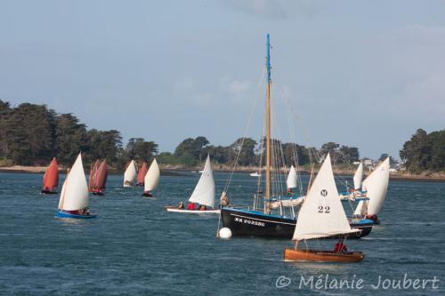 Semaine du golfe 2013