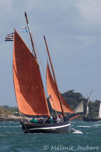 Semaine du golfe 2013