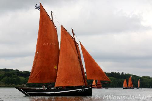 o 19mv5662i1rasfcarkor5c1m2k5g