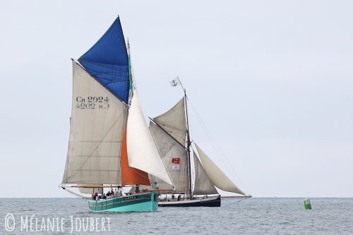 2K8A4524-copie