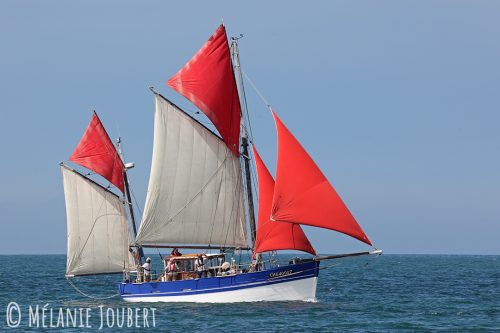 2K8A4604-copie