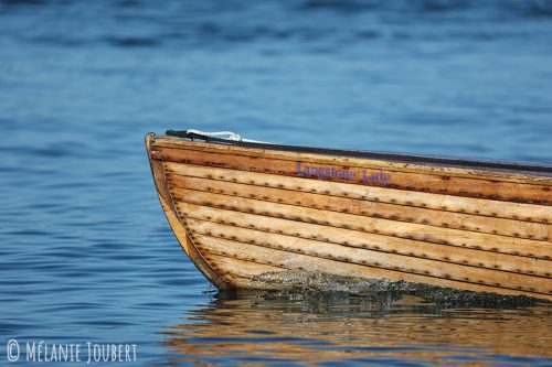 2K8A2077