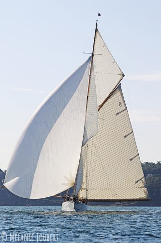 2K8A7217