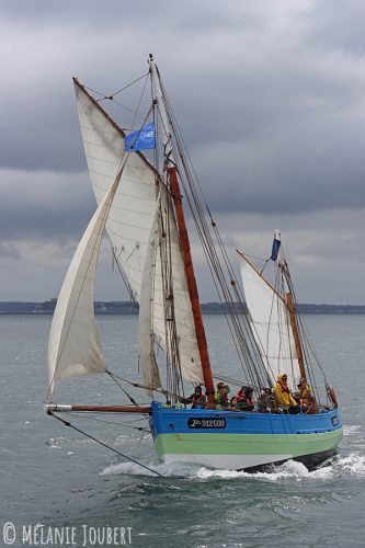 IMG 0267