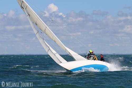 IMG 3081
