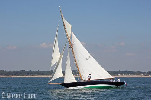 IMG 3649