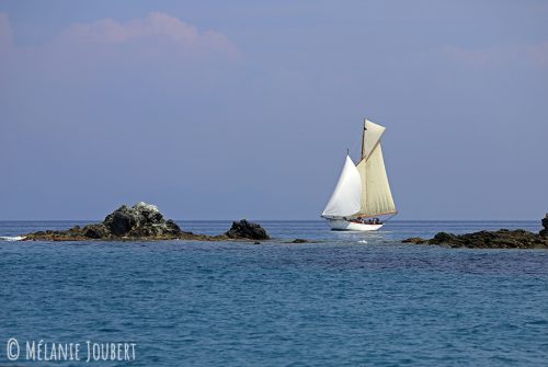 IMG 4980