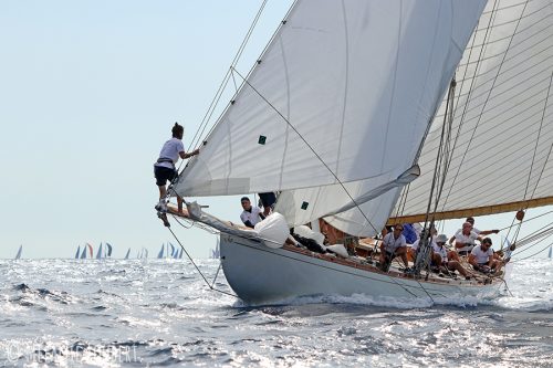 IMG 7709