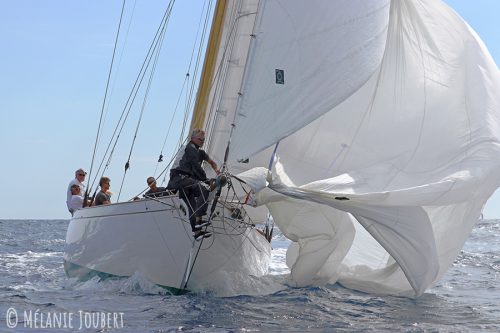 IMG 7731