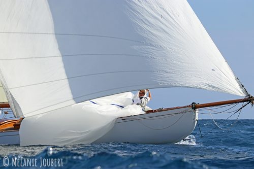 IMG 7973