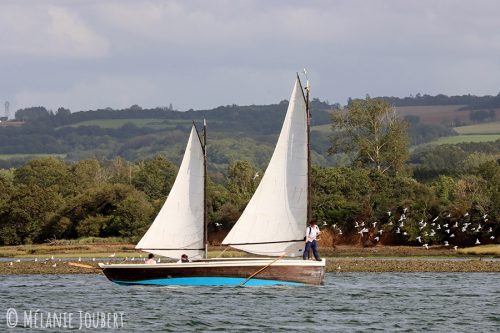IMG 8745